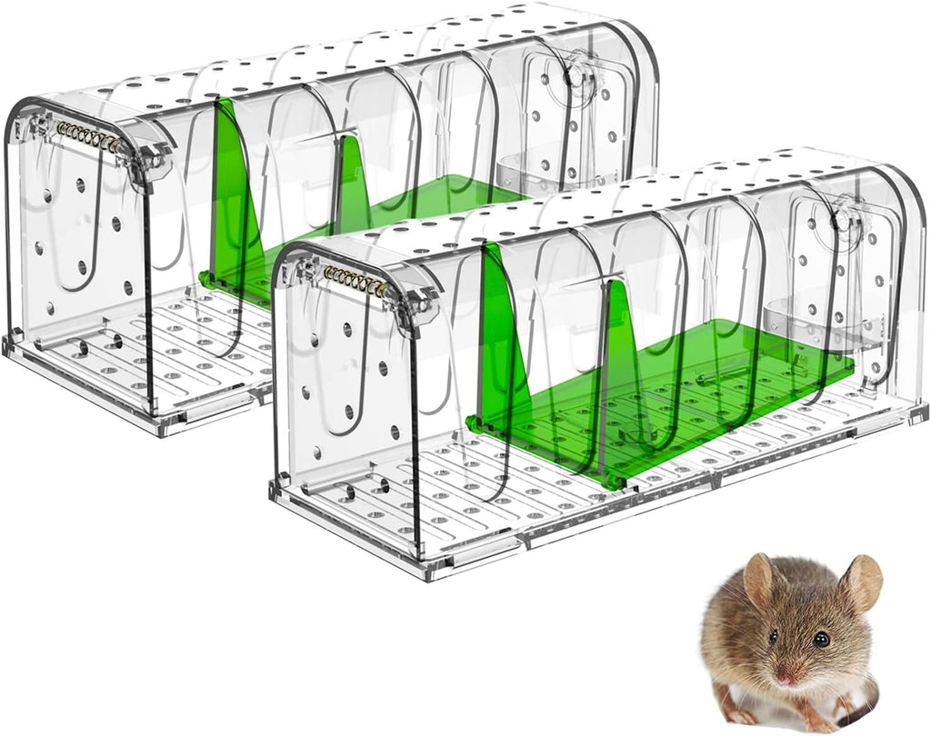Humane Mouse Trap